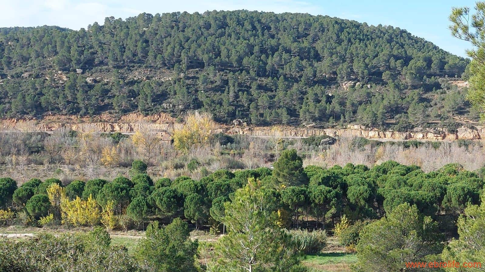 1 soveværelse Finca/Landehus til salg i Mazaleon - € 66.000 (Ref: 8646186)