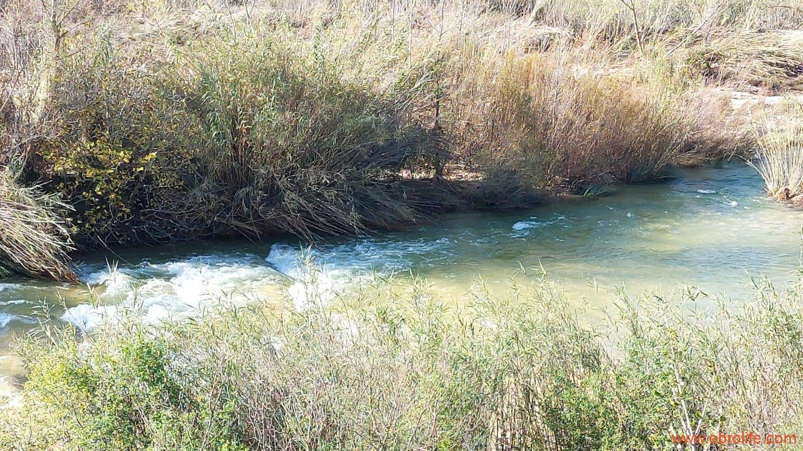 1 soveværelse Finca/Landehus til salg i Mazaleon - € 66.000 (Ref: 8646186)