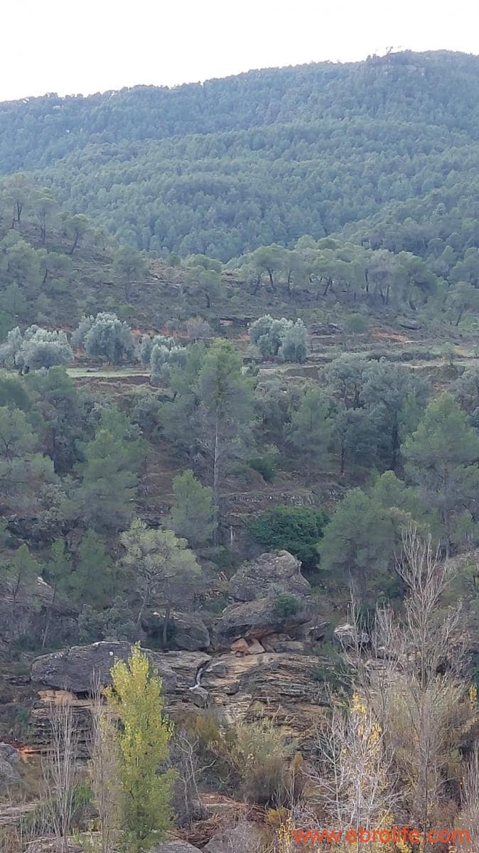 1 slaapkamer Finca/Landhuis te koop in Valderrobres - € 39.000 (Ref: 8673050)