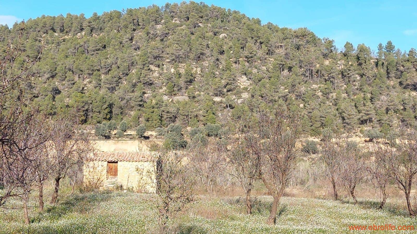 1 slaapkamer Finca/Landhuis te koop in Valderrobres - € 39.000 (Ref: 8673050)