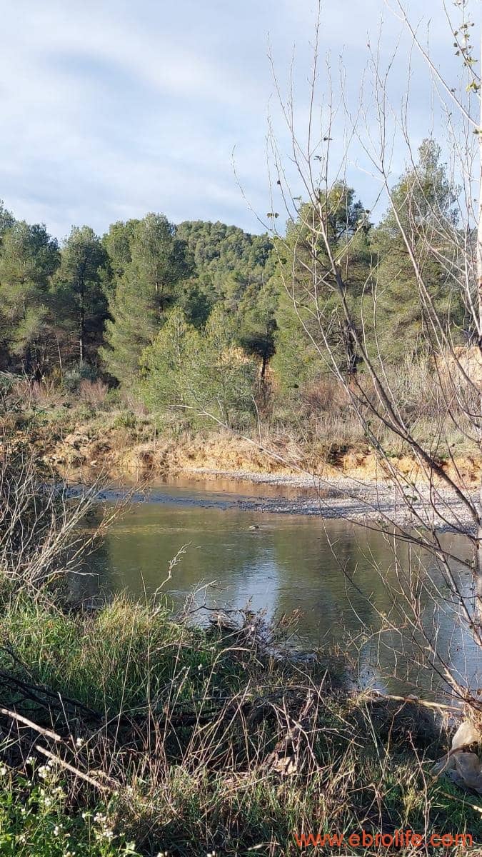 1 slaapkamer Finca/Landhuis te koop in Valderrobres - € 39.000 (Ref: 8673050)