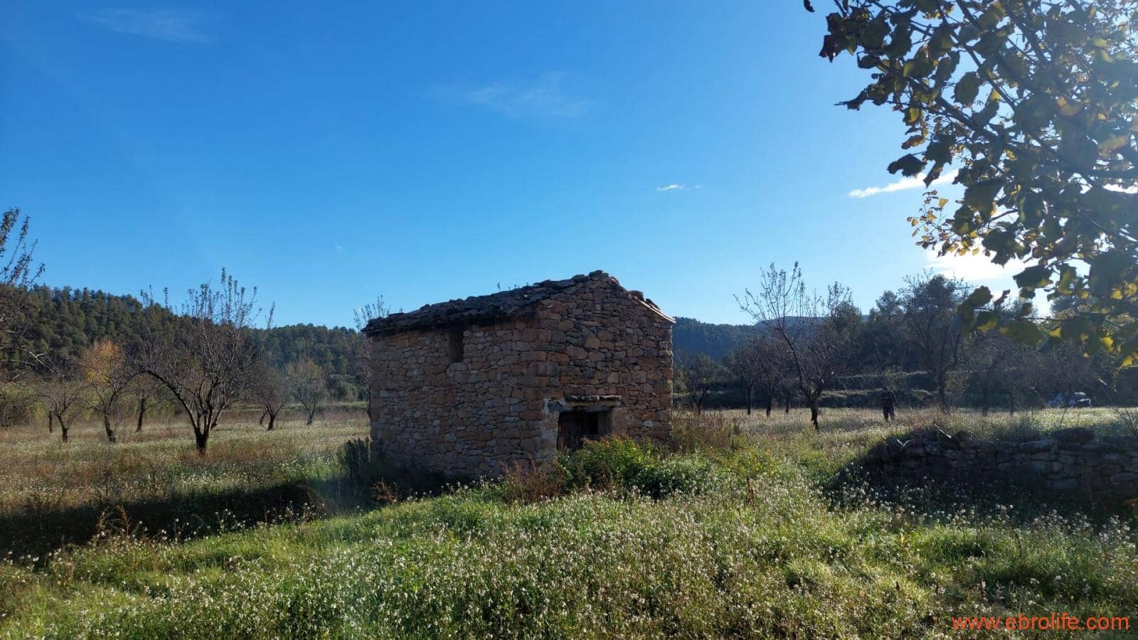 1 slaapkamer Finca/Landhuis te koop in Valderrobres - € 39.000 (Ref: 8673050)