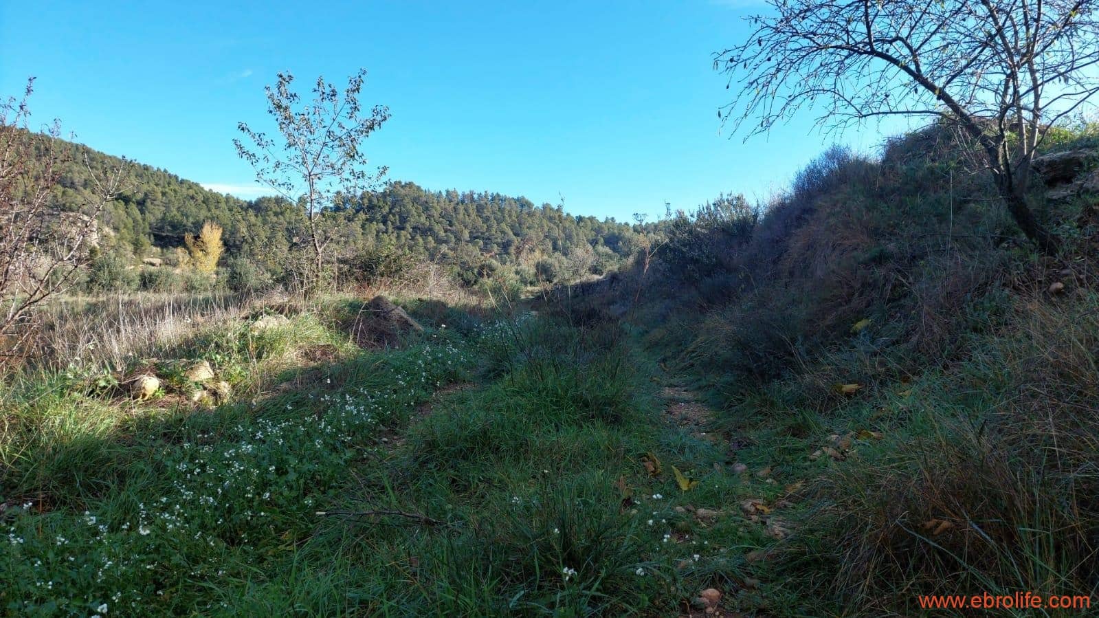 1 slaapkamer Finca/Landhuis te koop in Valderrobres - € 39.000 (Ref: 8673050)