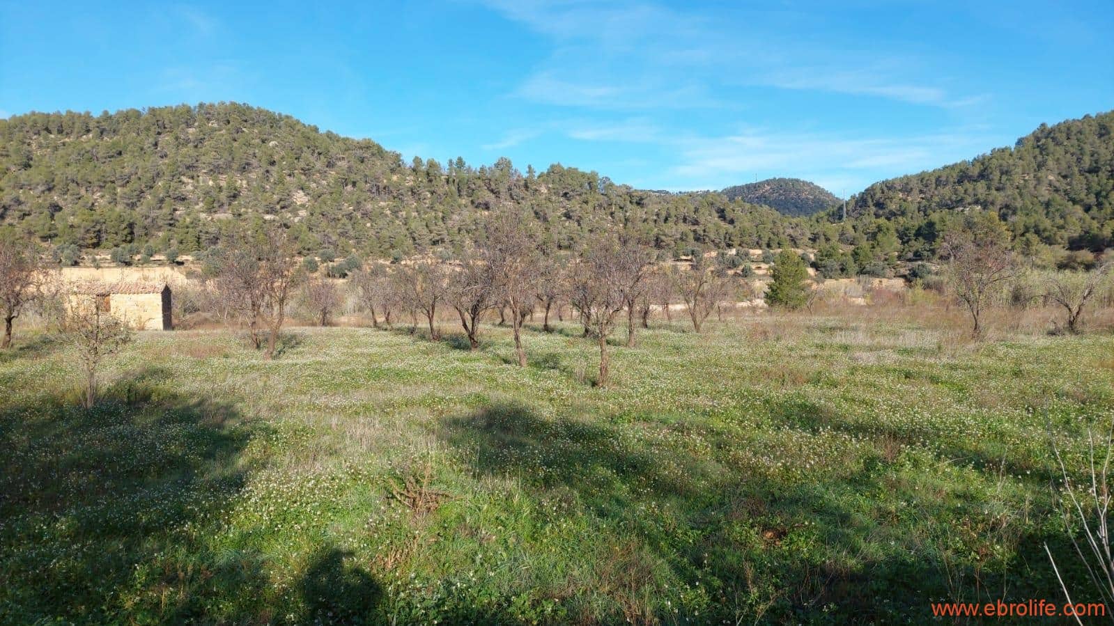 1 slaapkamer Finca/Landhuis te koop in Valderrobres - € 39.000 (Ref: 8673050)