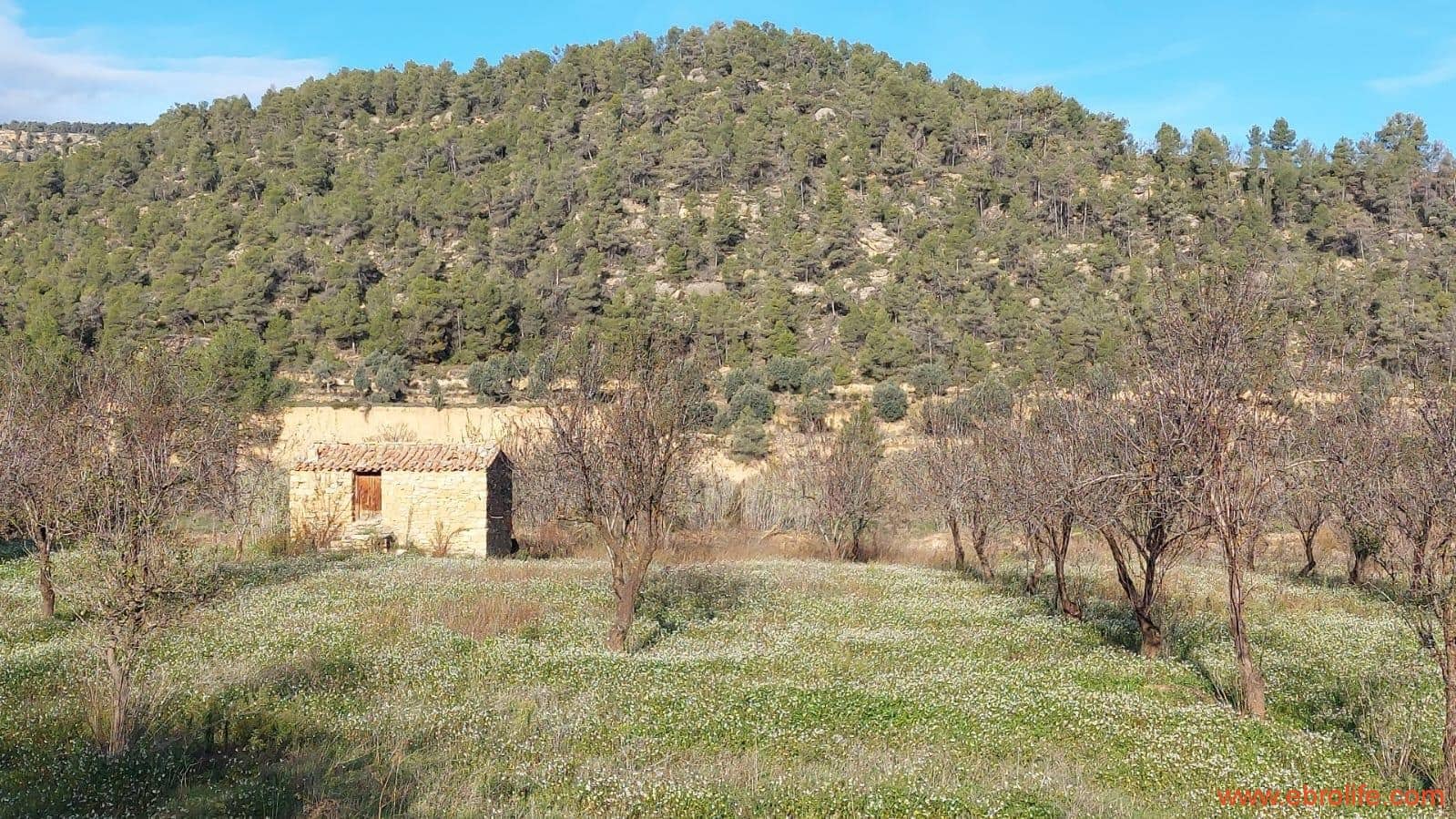 1 slaapkamer Finca/Landhuis te koop in Valderrobres - € 39.000 (Ref: 8673050)