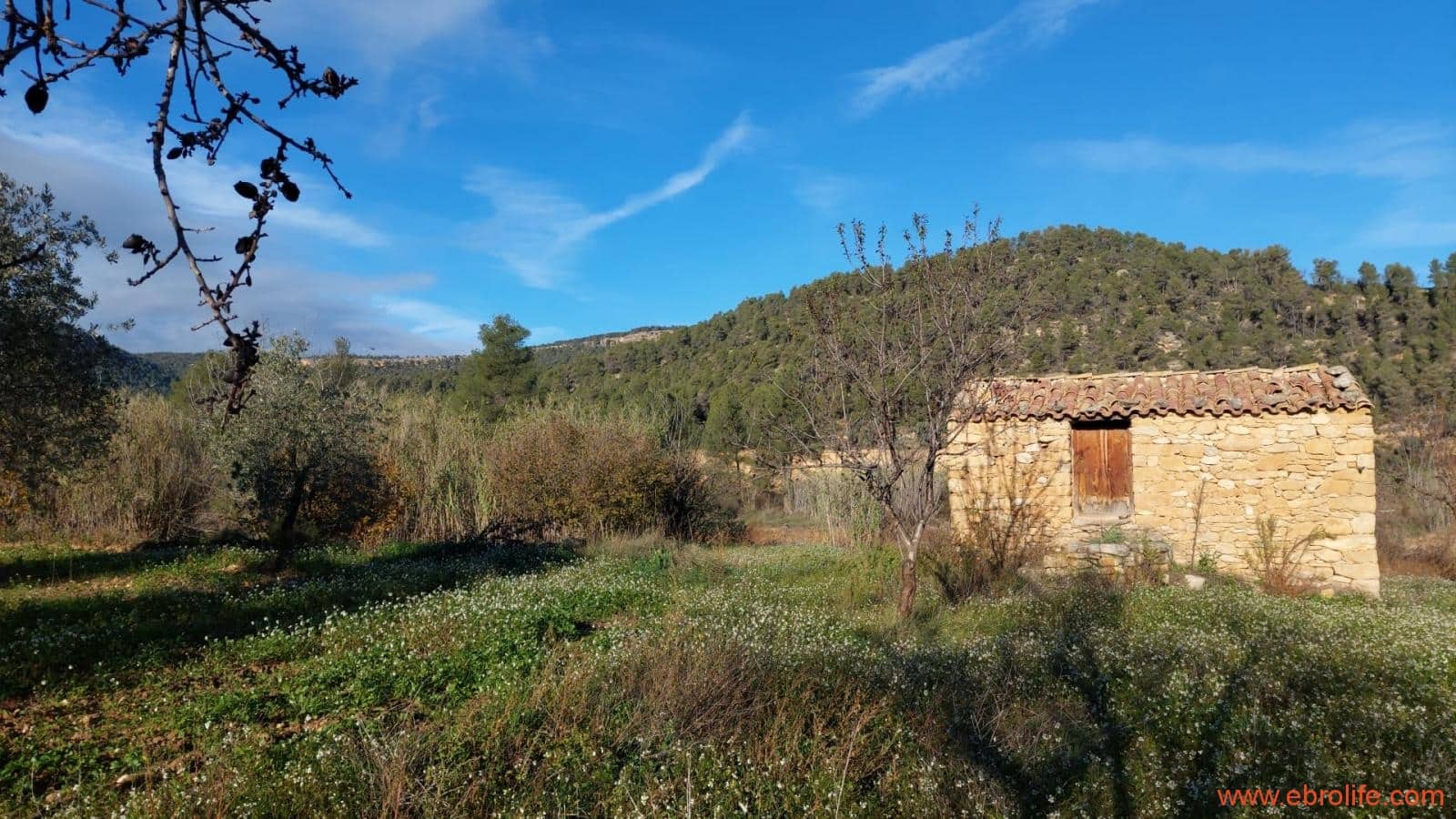 1 slaapkamer Finca/Landhuis te koop in Valderrobres - € 39.000 (Ref: 8673050)