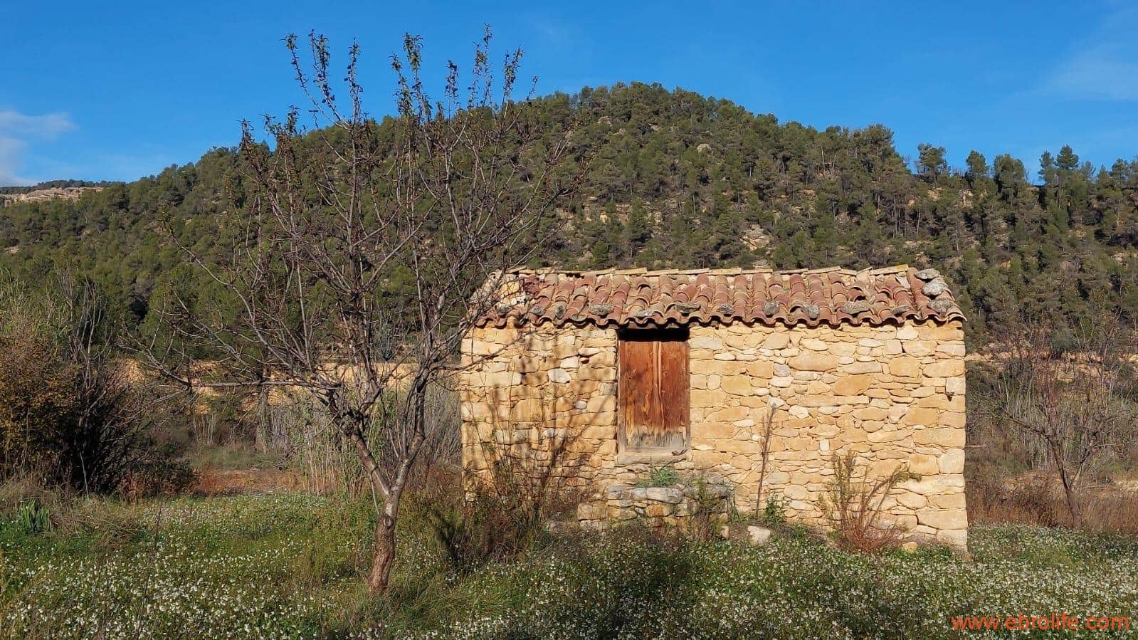 1 slaapkamer Finca/Landhuis te koop in Valderrobres - € 39.000 (Ref: 8673050)