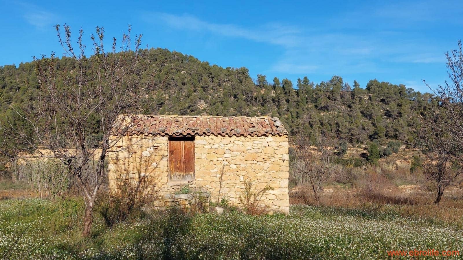 1 slaapkamer Finca/Landhuis te koop in Valderrobres - € 39.000 (Ref: 8673050)