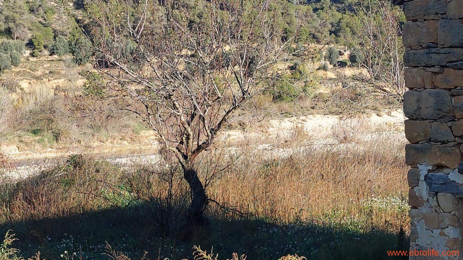 1 slaapkamer Finca/Landhuis te koop in Valderrobres - € 39.000 (Ref: 8673050)