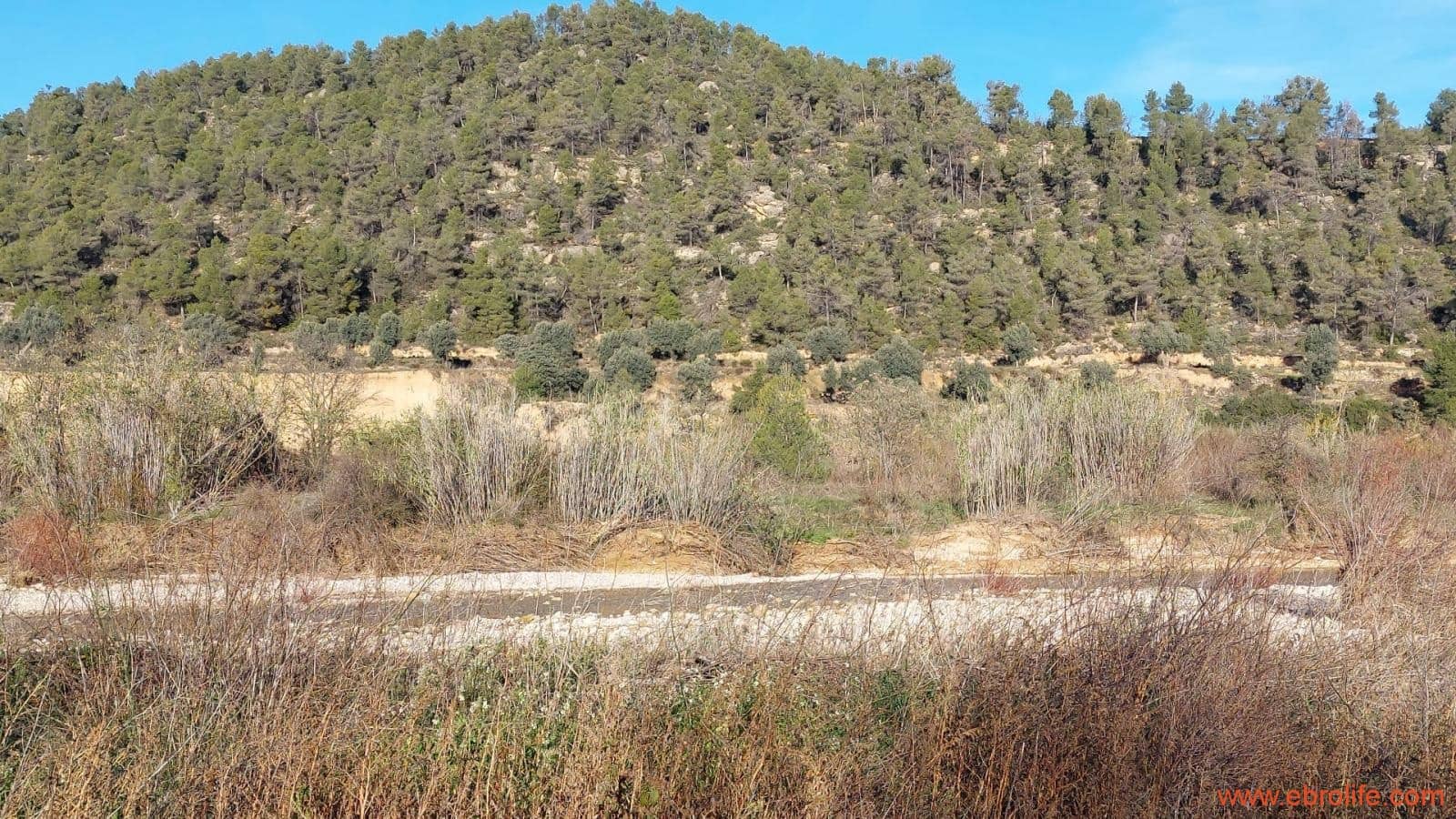 1 slaapkamer Finca/Landhuis te koop in Valderrobres - € 39.000 (Ref: 8673050)