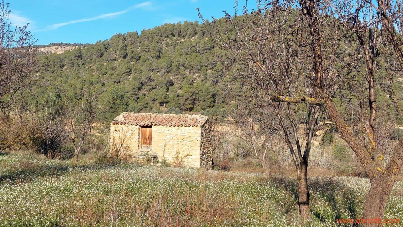 1 slaapkamer Finca/Landhuis te koop in Valderrobres - € 39.000 (Ref: 8673050)