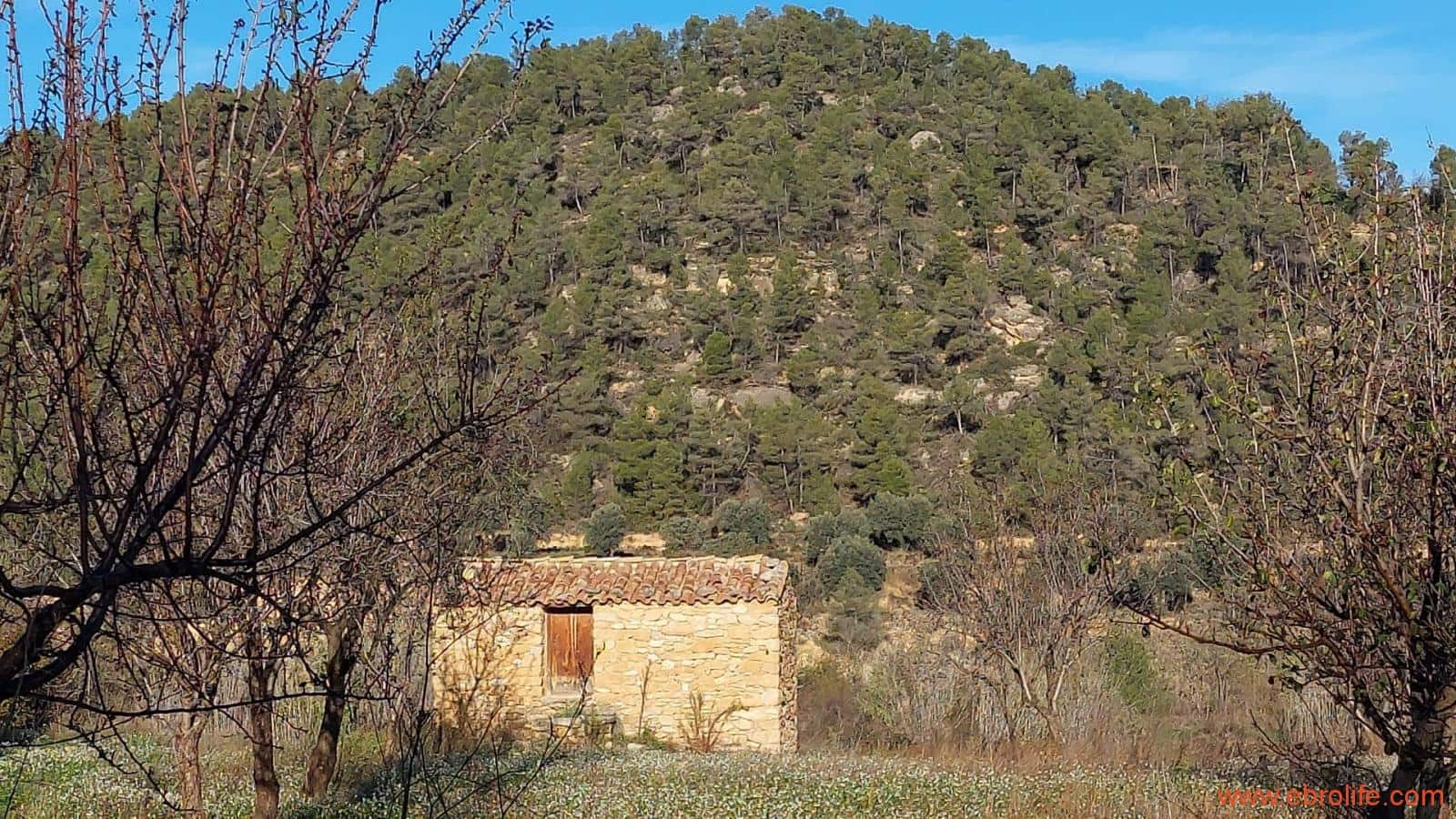 1 slaapkamer Finca/Landhuis te koop in Valderrobres - € 39.000 (Ref: 8673050)