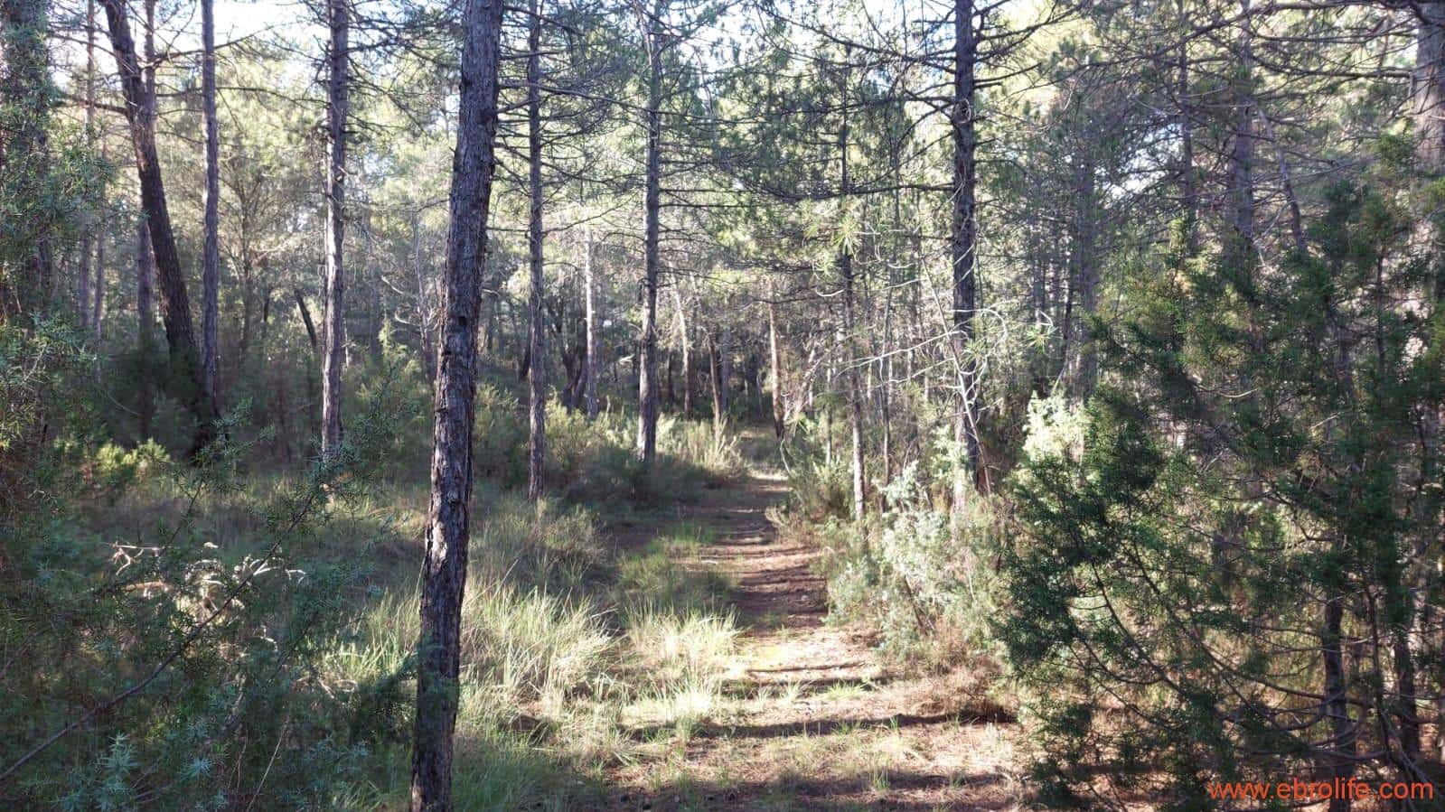 1 soveværelse Finca/Landehus til salg i Monroyo - € 76.000 (Ref: 8673339)