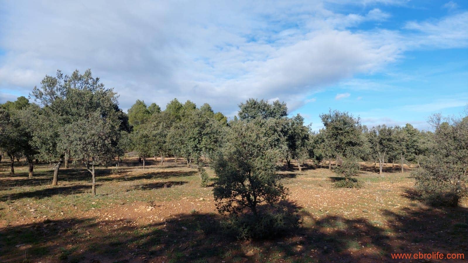 1 soveværelse Finca/Landehus til salg i Monroyo - € 76.000 (Ref: 8673339)