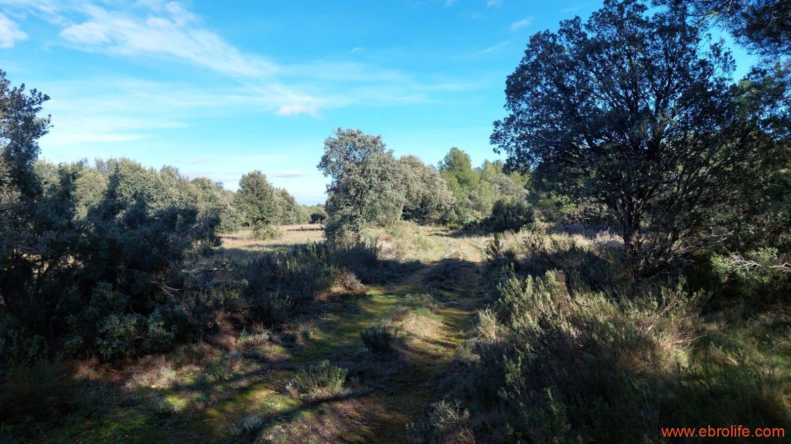 1 soveværelse Finca/Landehus til salg i Monroyo - € 76.000 (Ref: 8673339)