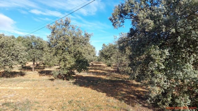 1 Zimmer Finca/Landgut zu verkaufen in Monroyo - 76.000 € (Ref: 8673339)