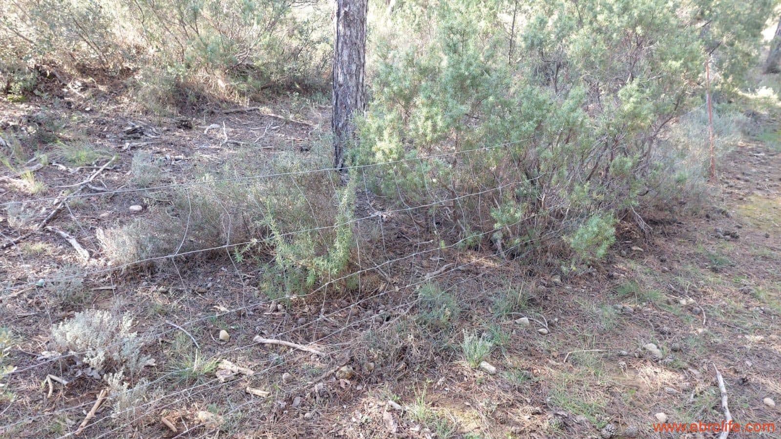 1 soveværelse Finca/Landehus til salg i Monroyo - € 76.000 (Ref: 8673339)