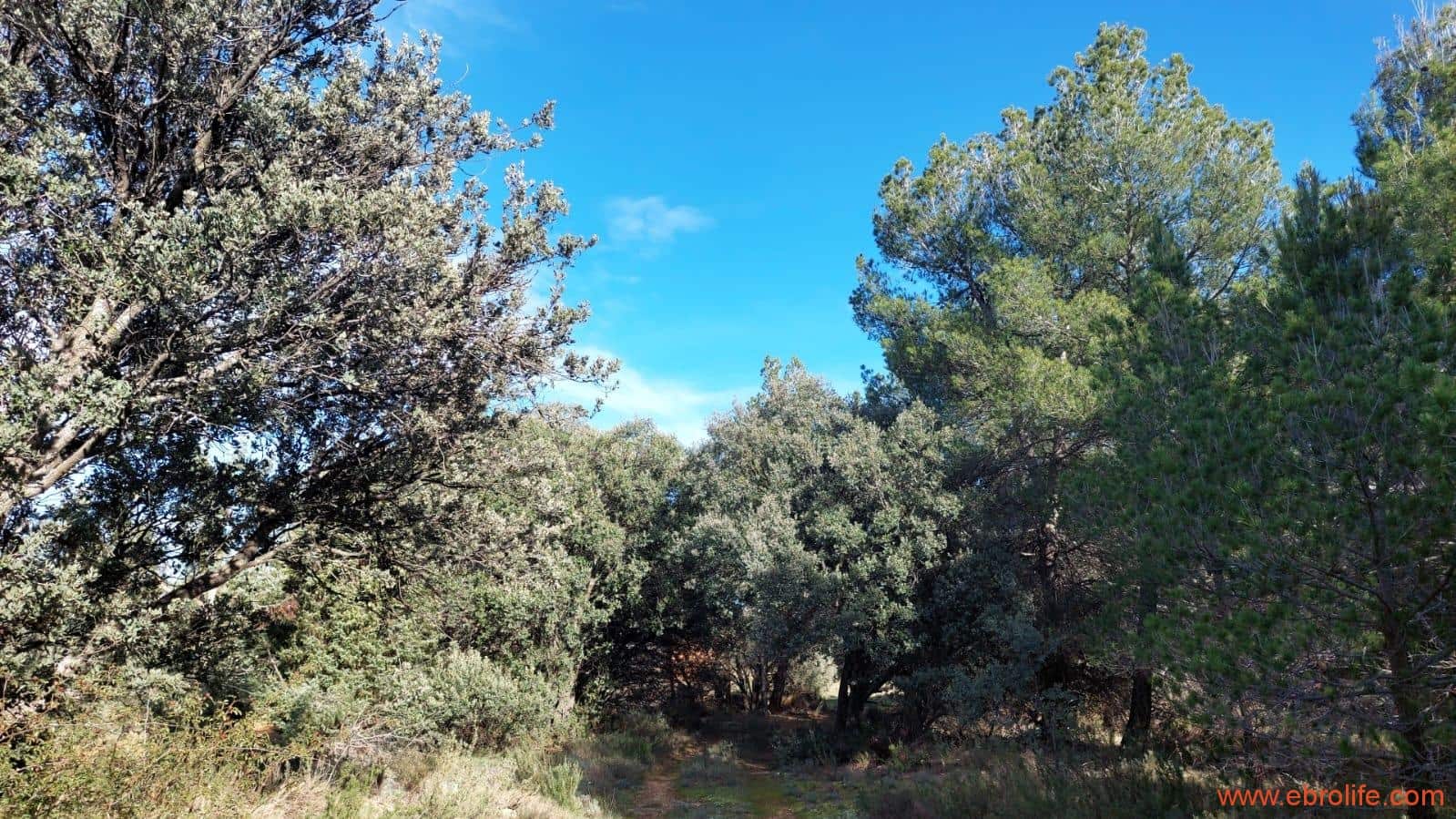 1 soveværelse Finca/Landehus til salg i Monroyo - € 76.000 (Ref: 8673339)