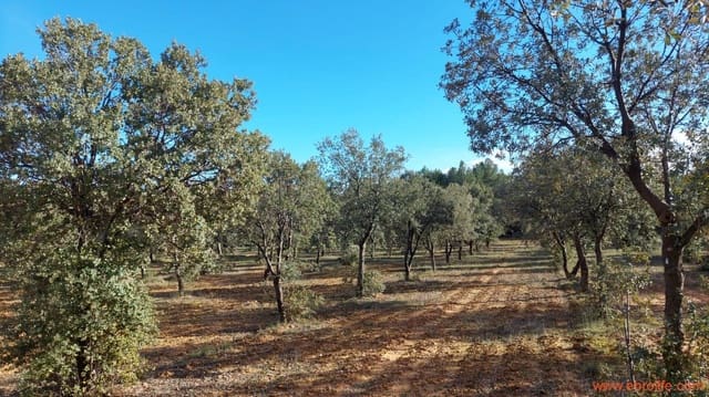 1 Zimmer Finca/Landgut zu verkaufen in Monroyo - 76.000 € (Ref: 8673339)