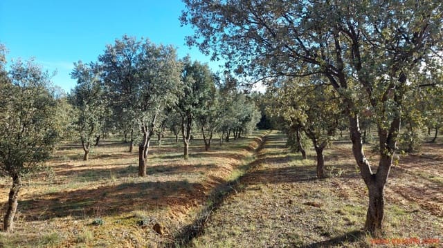 1 Zimmer Finca/Landgut zu verkaufen in Monroyo - 76.000 € (Ref: 8673339)
