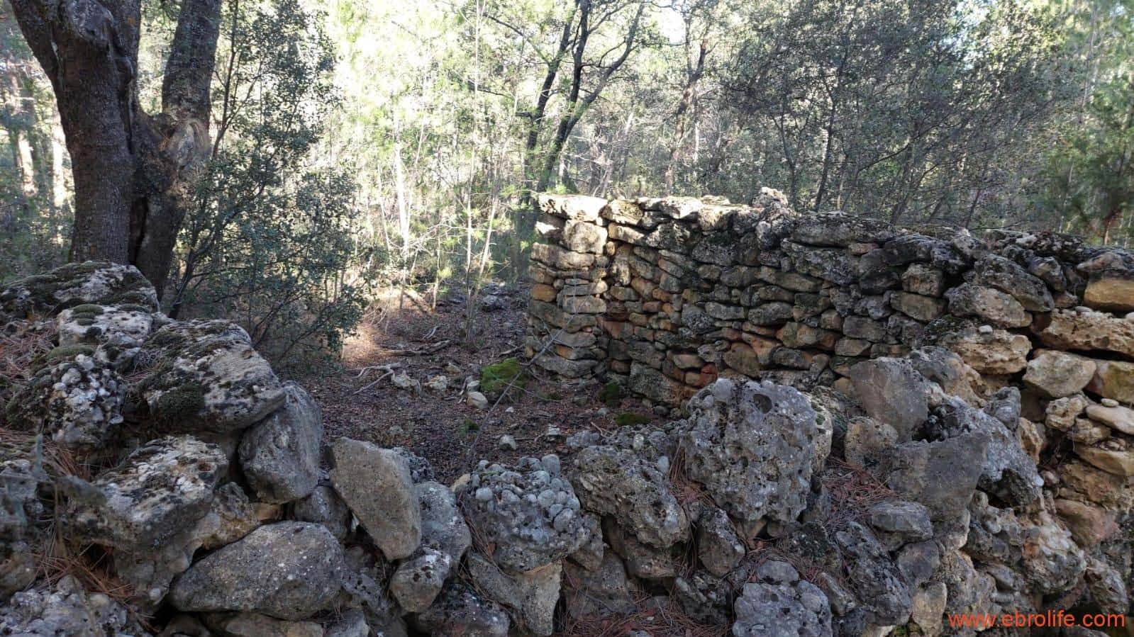 1 soveværelse Finca/Landehus til salg i Monroyo - € 76.000 (Ref: 8673339)