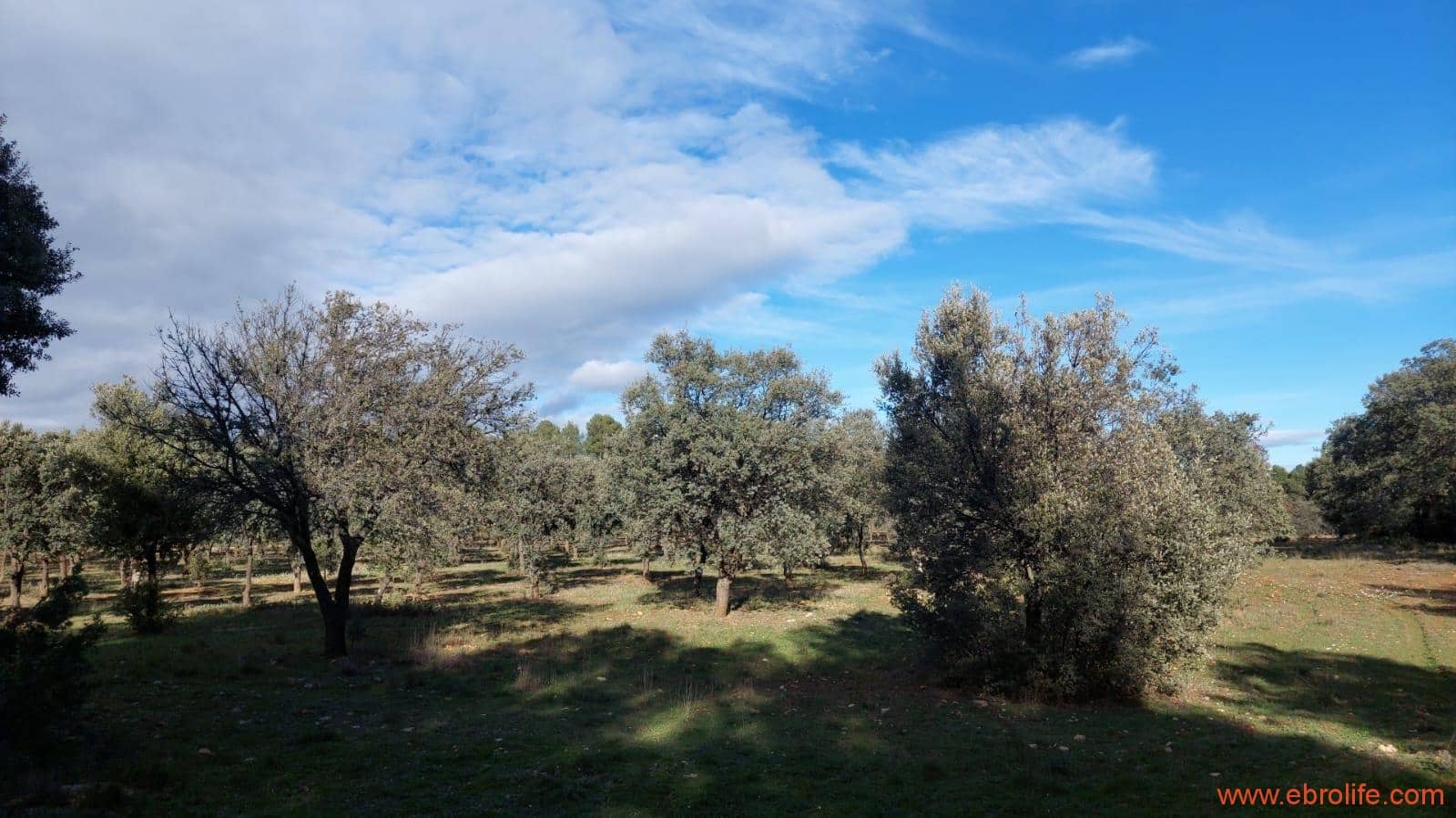 1 soveværelse Finca/Landehus til salg i Monroyo - € 76.000 (Ref: 8673339)