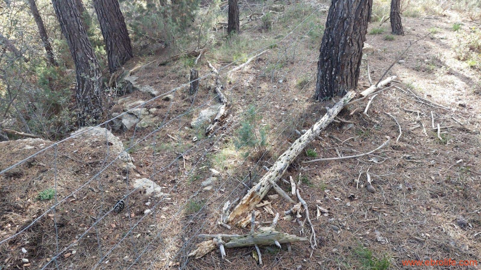 1 soveværelse Finca/Landehus til salg i Monroyo - € 76.000 (Ref: 8673339)