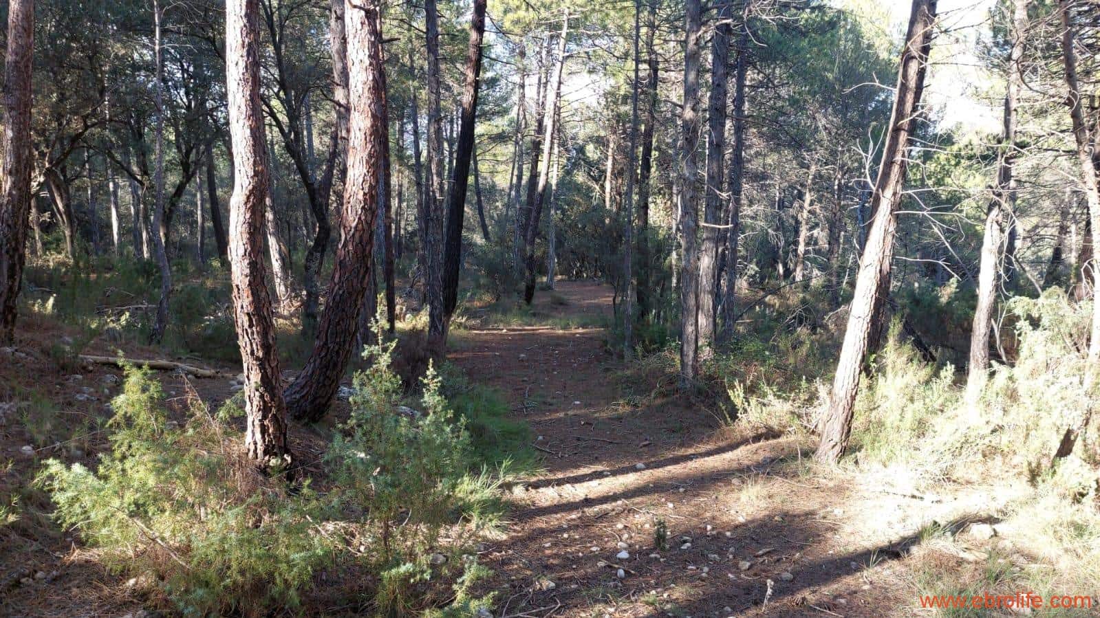 1 soveværelse Finca/Landehus til salg i Monroyo - € 76.000 (Ref: 8673339)