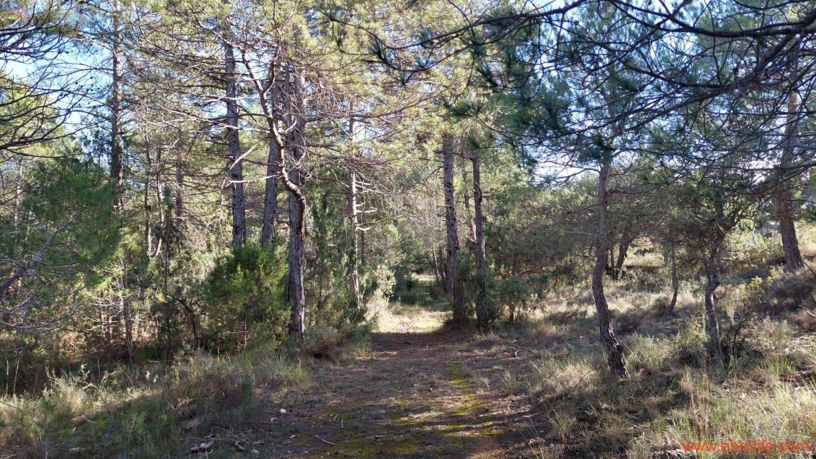 1 soveværelse Finca/Landehus til salg i Monroyo - € 76.000 (Ref: 8673339)