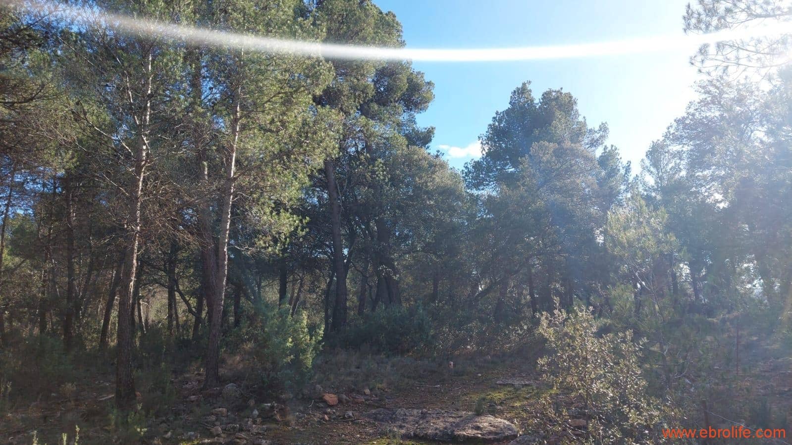 1 soveværelse Finca/Landehus til salg i Monroyo - € 76.000 (Ref: 8673339)