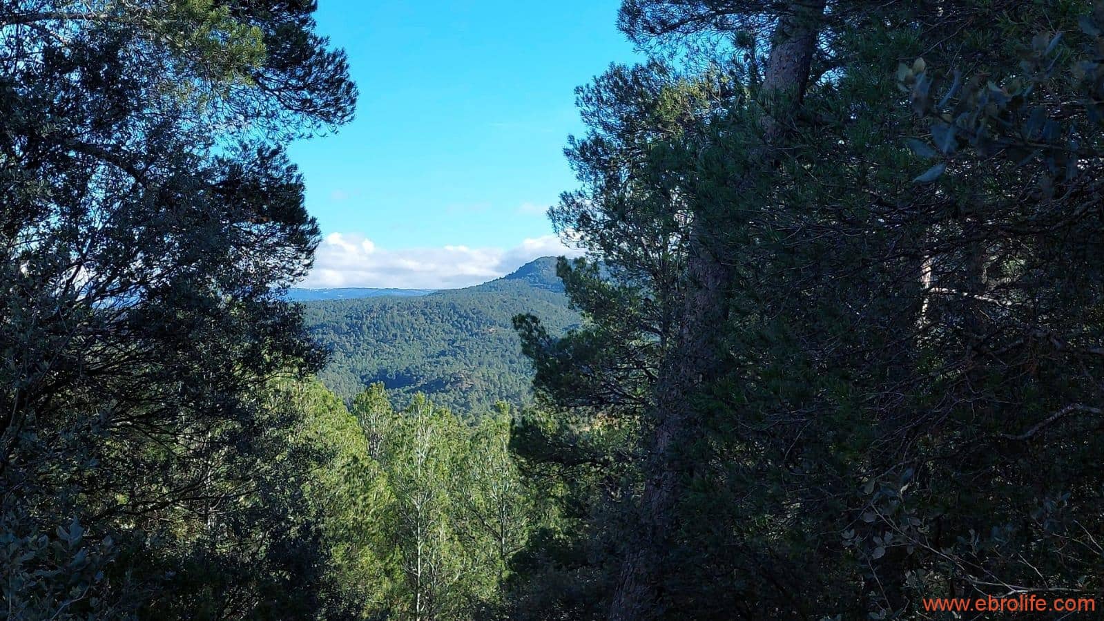 1 soveværelse Finca/Landehus til salg i Monroyo - € 76.000 (Ref: 8673339)