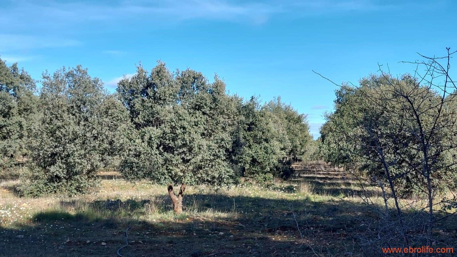 1 soveværelse Finca/Landehus til salg i Monroyo - € 76.000 (Ref: 8673339)