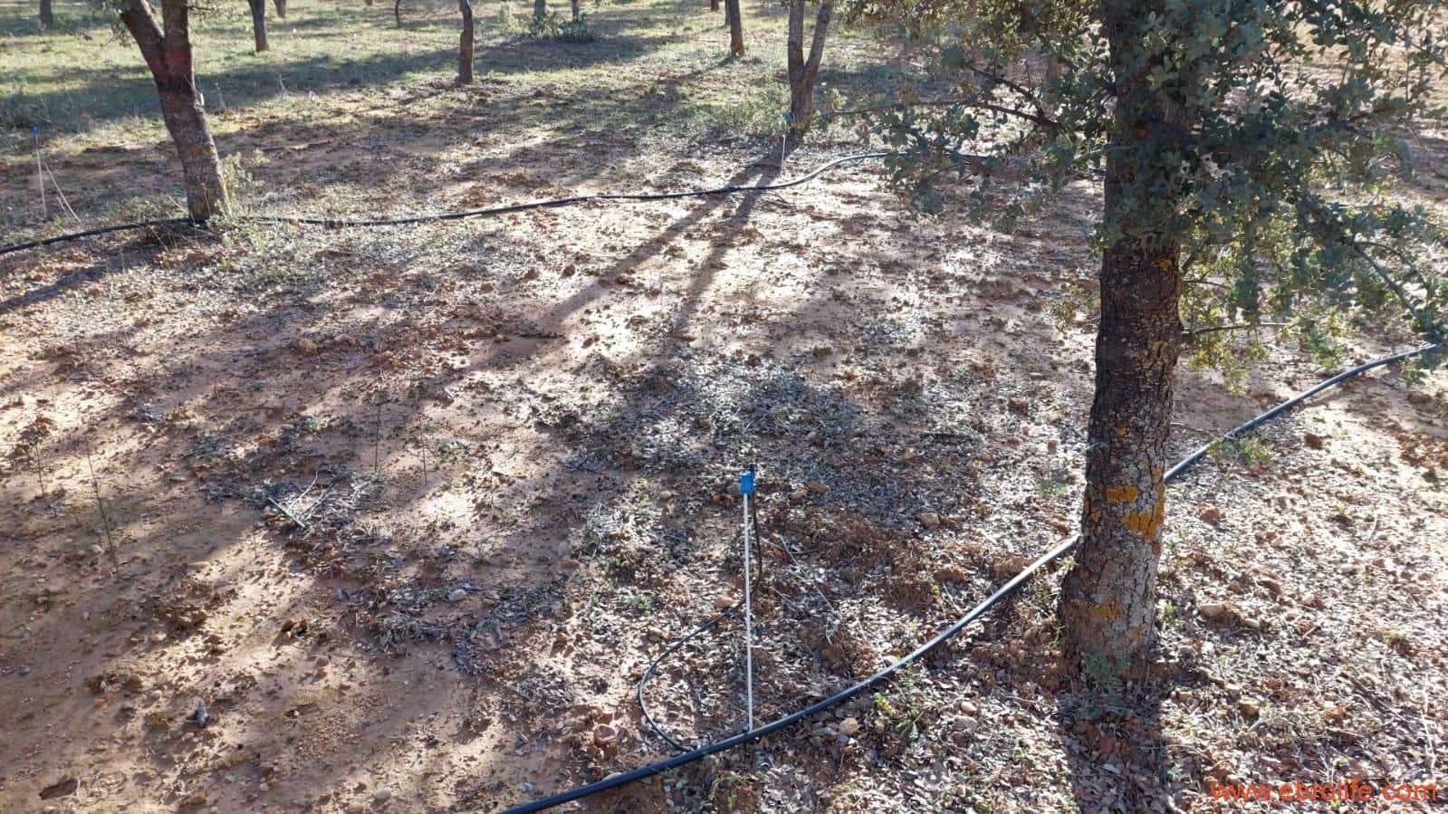 1 soveværelse Finca/Landehus til salg i Monroyo - € 76.000 (Ref: 8673339)