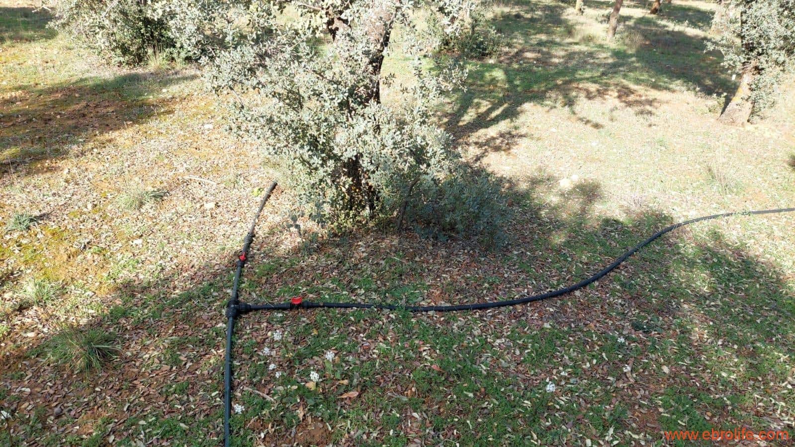 1 soveværelse Finca/Landehus til salg i Monroyo - € 76.000 (Ref: 8673339)