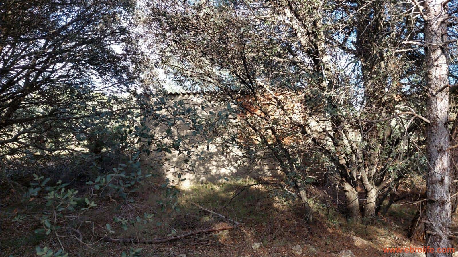 1 soveværelse Finca/Landehus til salg i Monroyo - € 76.000 (Ref: 8673339)