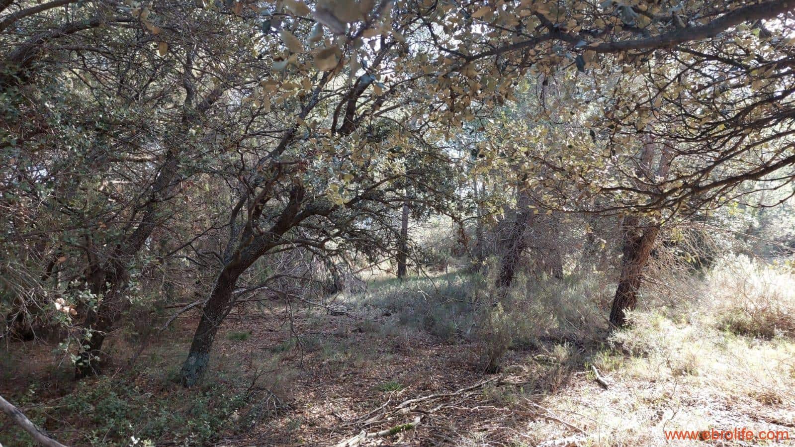 1 soveværelse Finca/Landehus til salg i Monroyo - € 76.000 (Ref: 8673339)