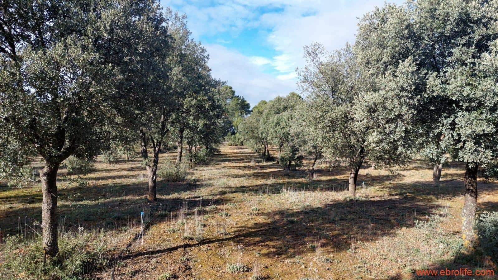 1 soveværelse Finca/Landehus til salg i Monroyo - € 76.000 (Ref: 8673339)