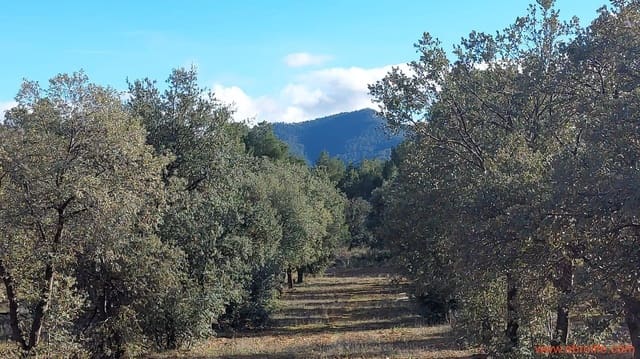 1 Zimmer Finca/Landgut zu verkaufen in Monroyo - 76.000 € (Ref: 8673339)