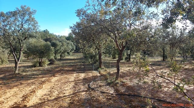 1 Zimmer Finca/Landgut zu verkaufen in Monroyo - 76.000 € (Ref: 8673339)