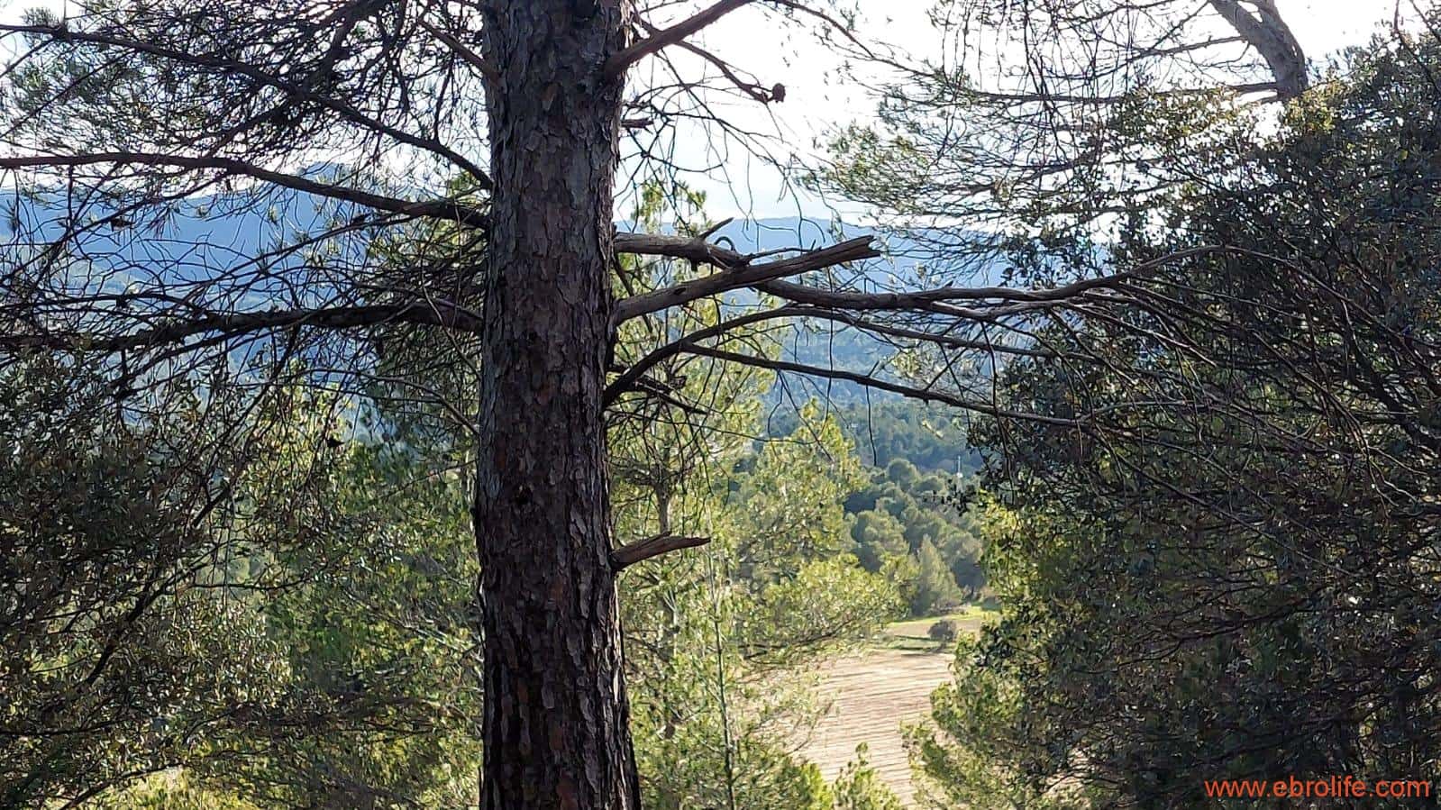 1 soveværelse Finca/Landehus til salg i Monroyo - € 76.000 (Ref: 8673339)