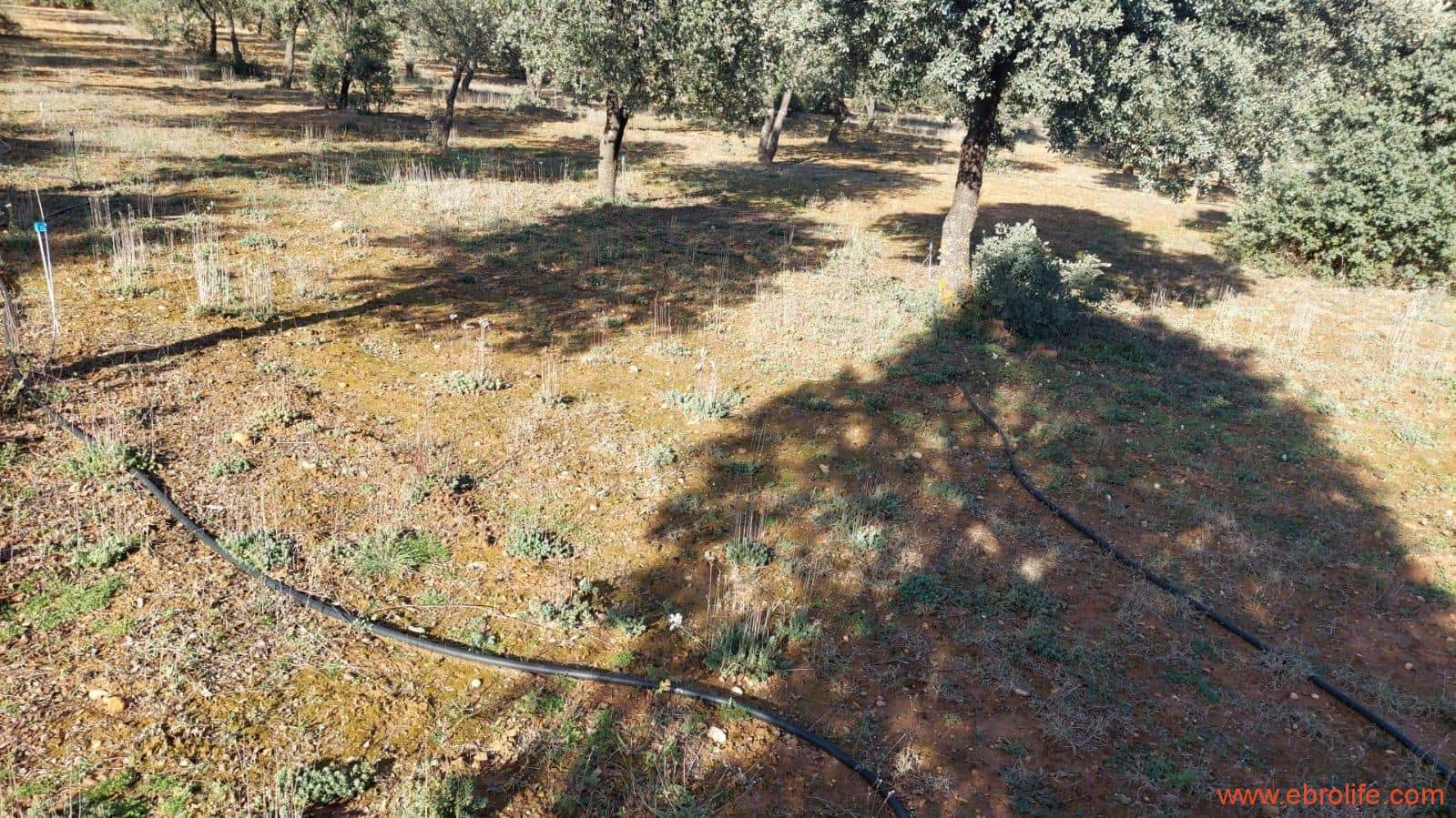 1 soveværelse Finca/Landehus til salg i Monroyo - € 76.000 (Ref: 8673339)