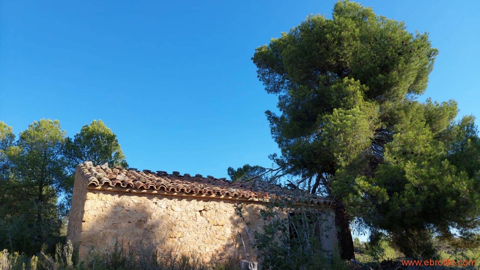 1 soveværelse Finca/Landehus til salg i Mazaleon - € 44.000 (Ref: 8684280)