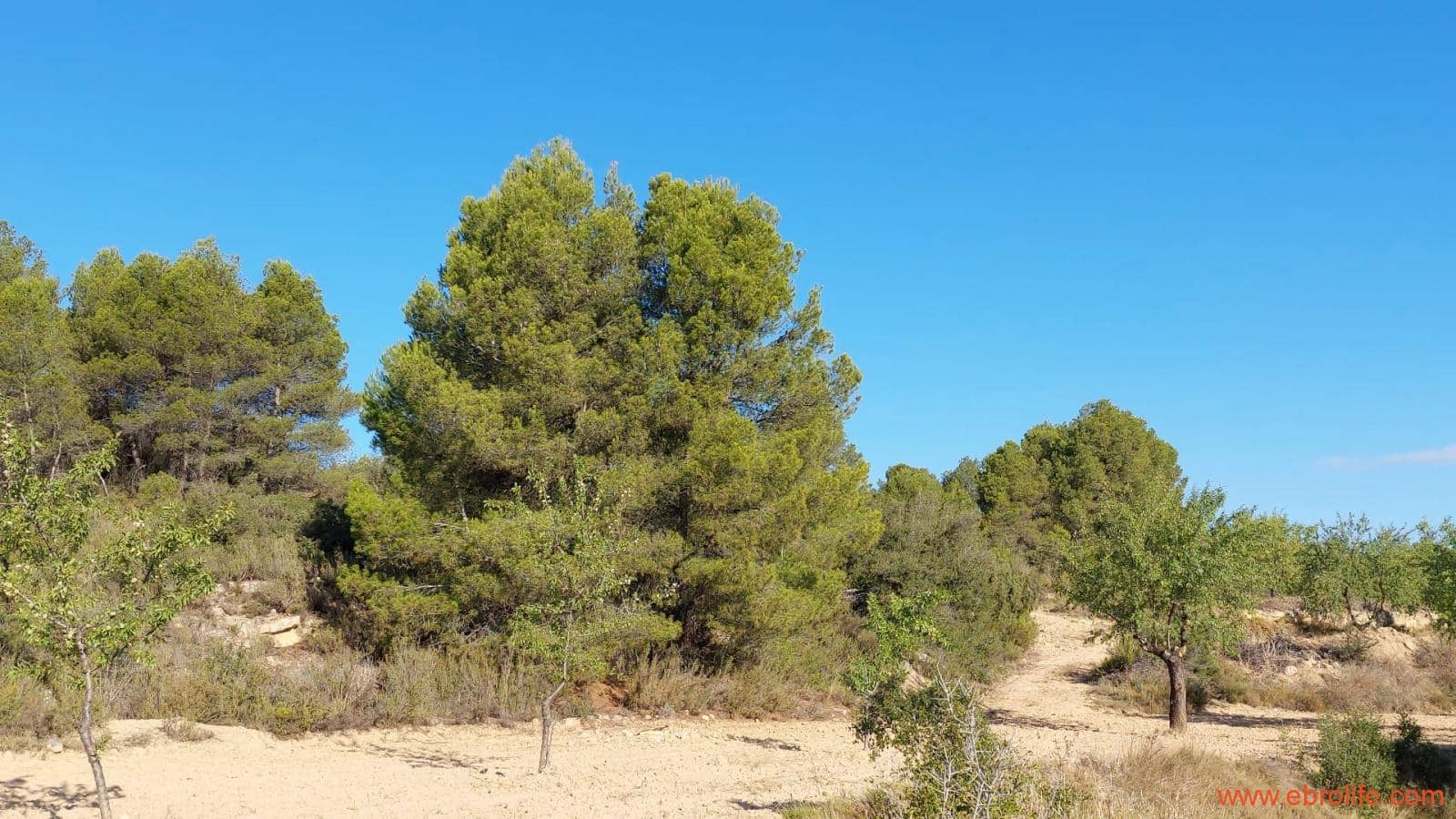 1 soveværelse Finca/Landehus til salg i Mazaleon - € 44.000 (Ref: 8684280)