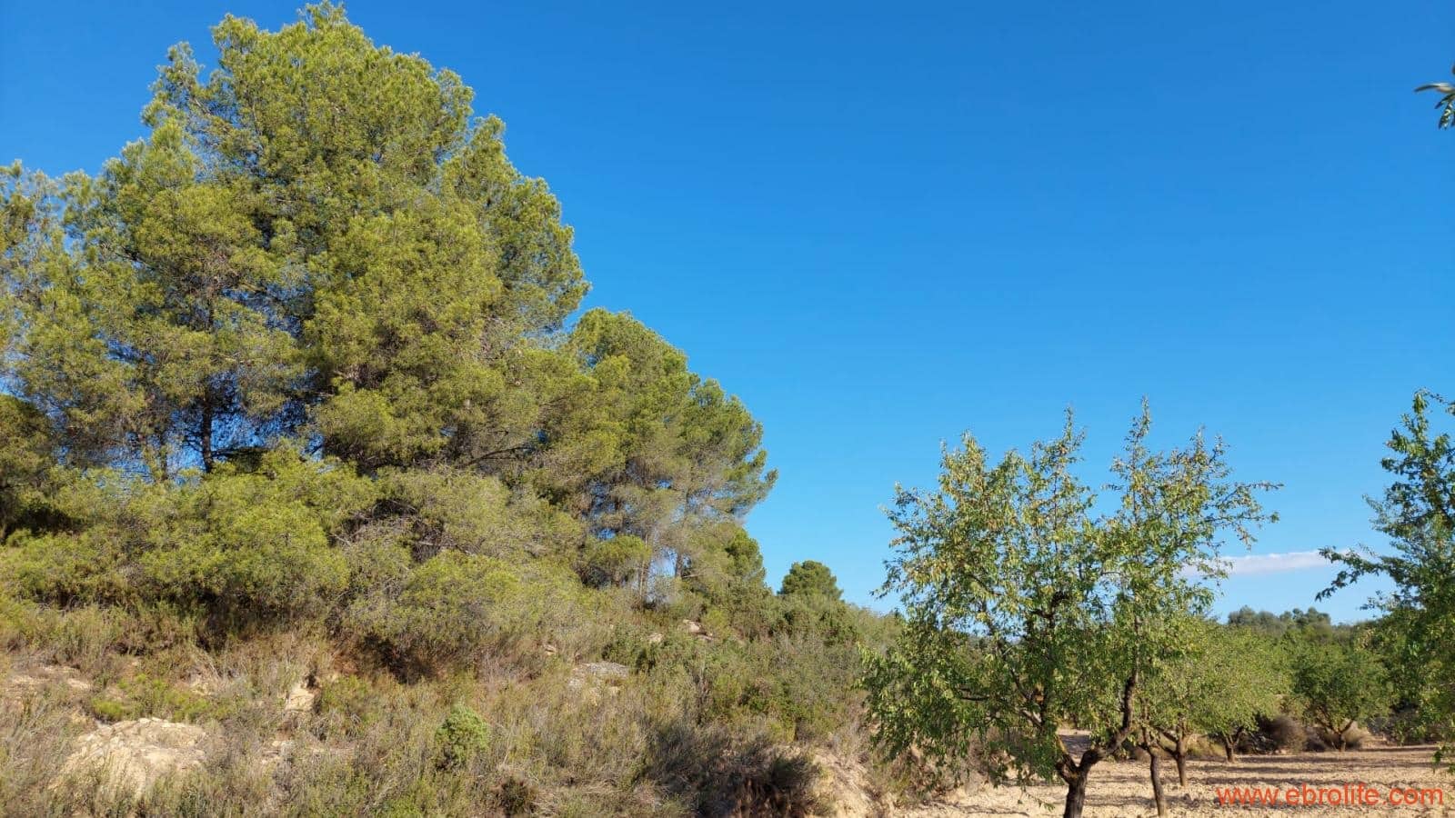 1 soveværelse Finca/Landehus til salg i Mazaleon - € 44.000 (Ref: 8684280)