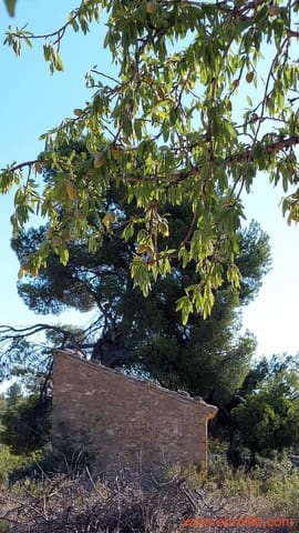 1 quarto Quinta/Casa Rural para venda em Mazaleón - 44 000 € (Ref: 8684280)