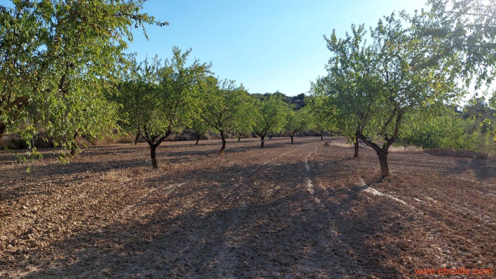 1 soveværelse Finca/Landehus til salg i Mazaleon - € 44.000 (Ref: 8684280)