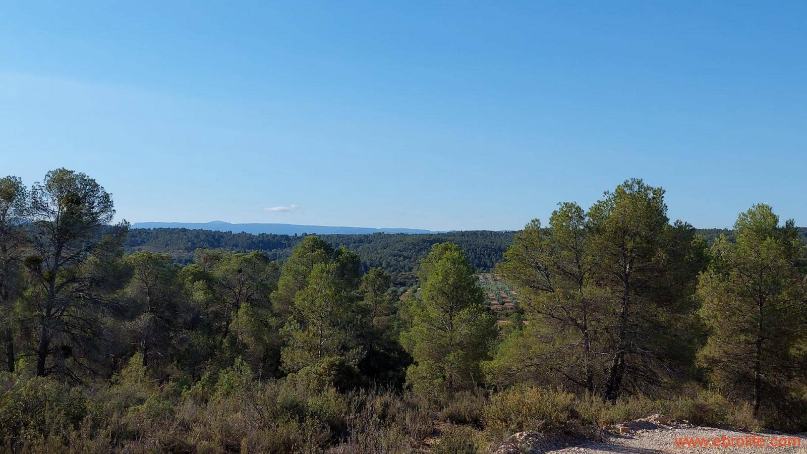 1 soveværelse Finca/Landehus til salg i Mazaleon - € 44.000 (Ref: 8684280)