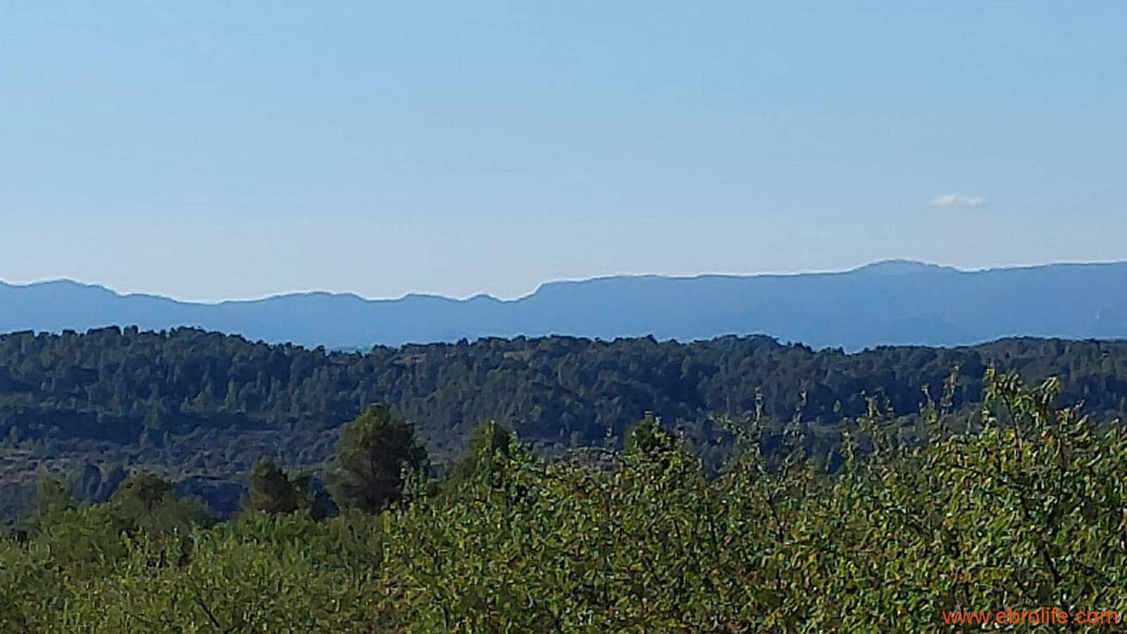 1 soveværelse Finca/Landehus til salg i Mazaleon - € 44.000 (Ref: 8684280)