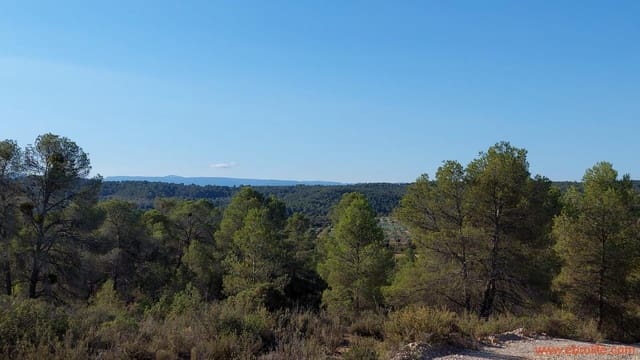 1 quarto Quinta/Casa Rural para venda em Mazaleón - 44 000 € (Ref: 8684280)