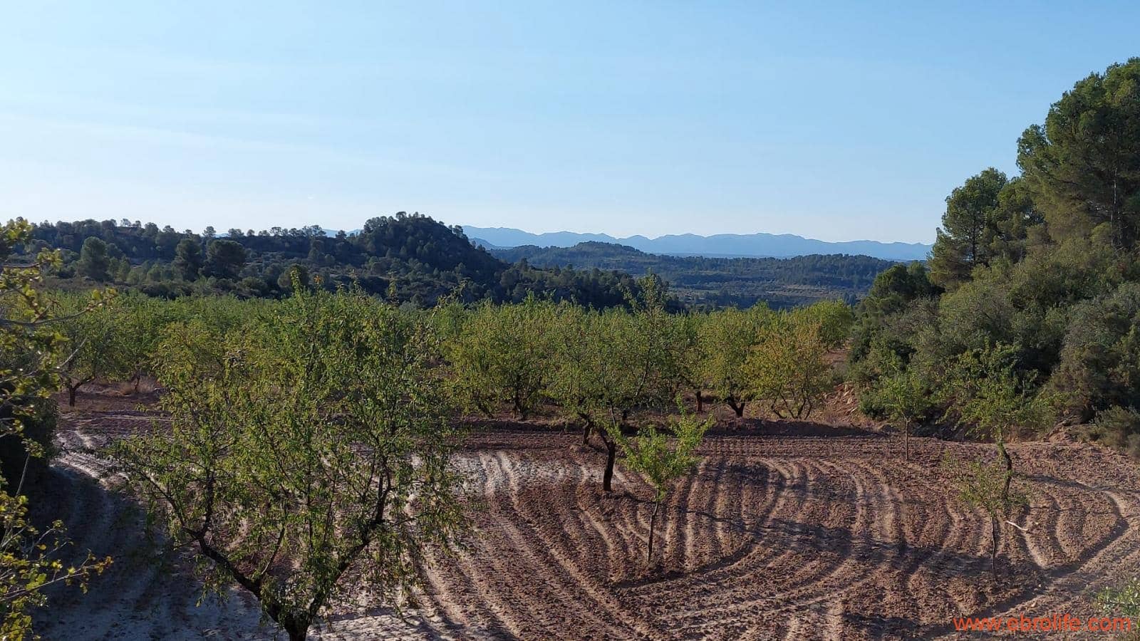 1 soveværelse Finca/Landehus til salg i Mazaleon - € 44.000 (Ref: 8684280)